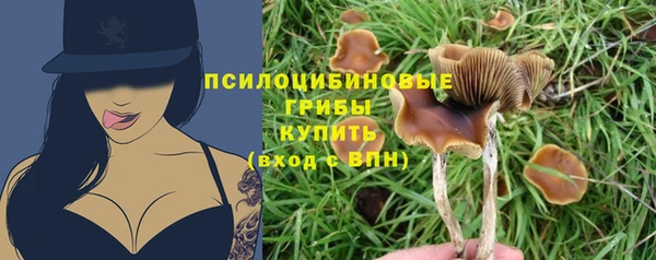 марки nbome Алзамай