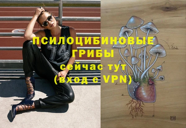 марки nbome Алзамай