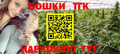 шишки Камышлов