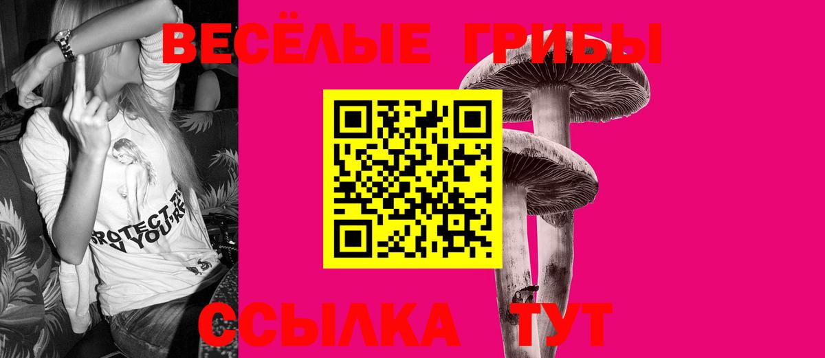 Псилоцибиновые грибы Psilocybe Мыски